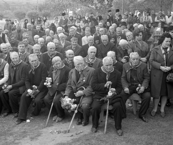 Ioan Matei Agapi - Bătrânii tineri.jpg